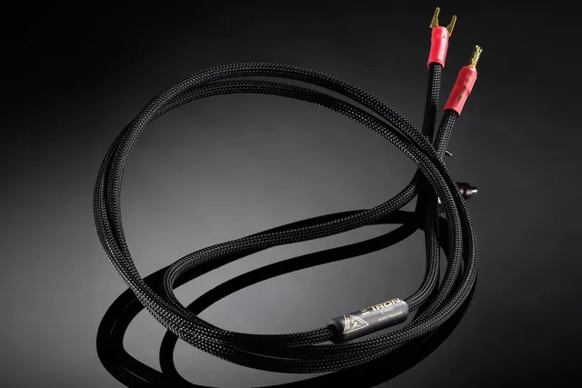 shunyata-tron-z-sp10-lautsprecherkabel-speaker-cable image 1