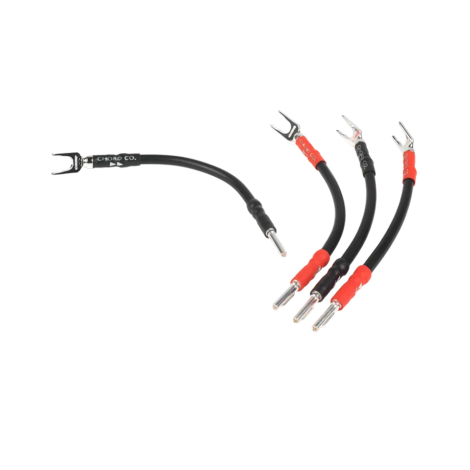 chord-company-signature-bi-wire-lautsprecher-br-cken image 1