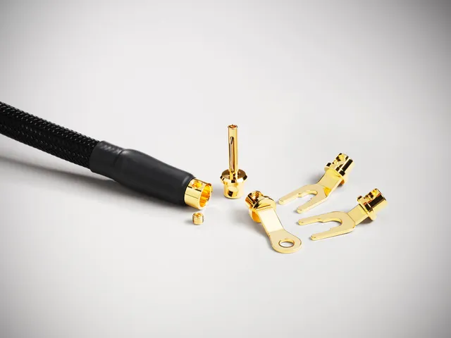 shunyata-stis-v3-bananen-und-gabelschuh-terminals image 1