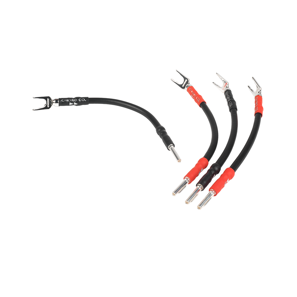 chord-company-signature-bi-wire-lautsprecher-br-cken image 1