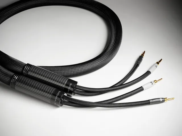 shunyata-sigma-x-lautsprecherkabel-speaker-cable image 1