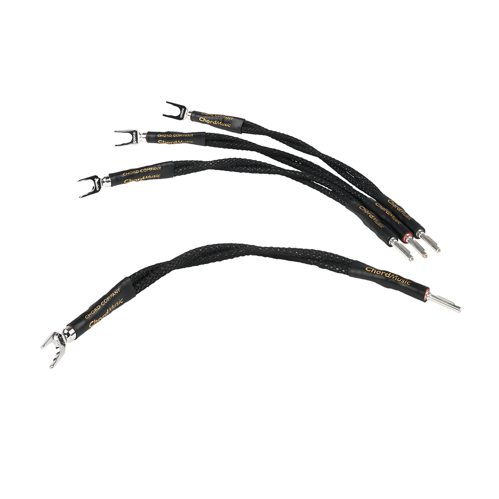chord-company-chordmusic-bi-wire-lautsprecher-br-cken image 1