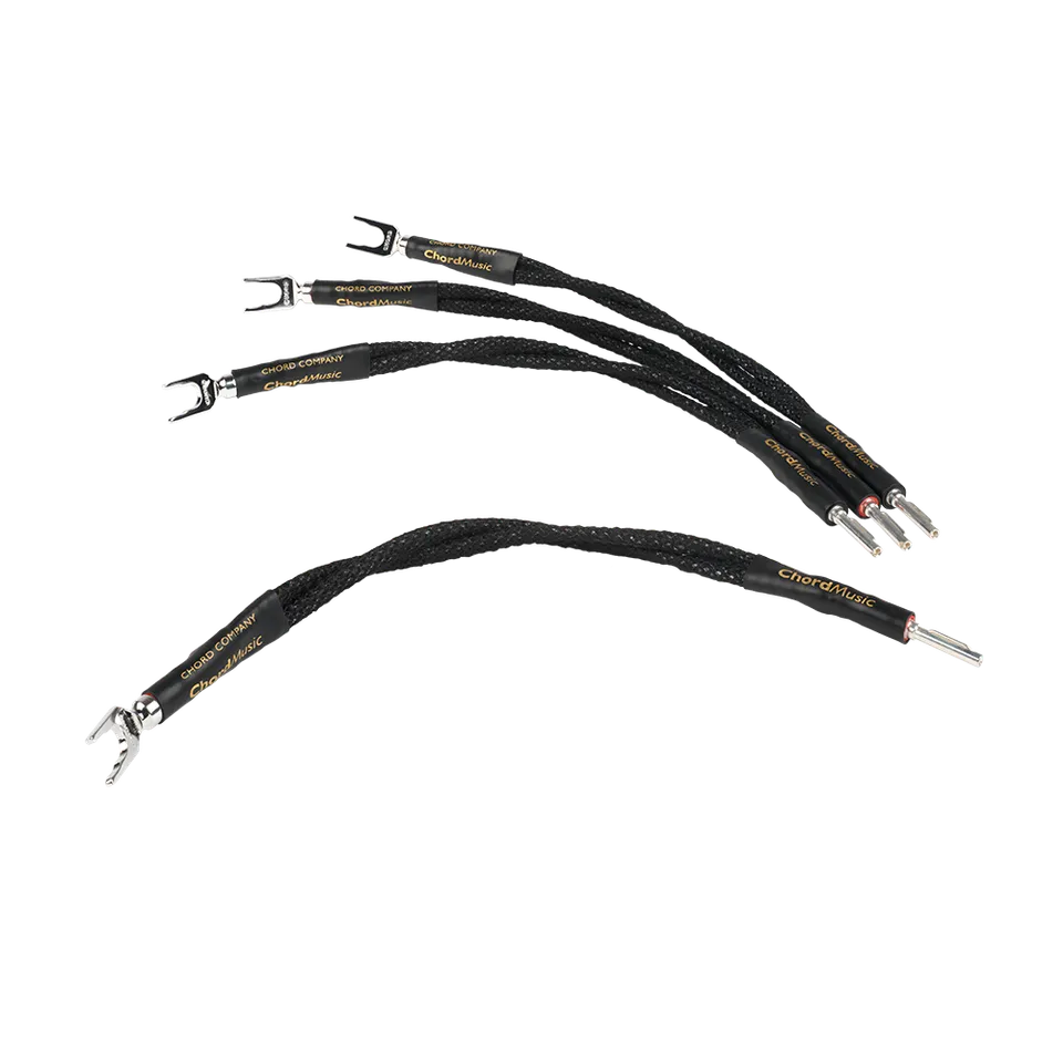 chord-company-chordmusic-bi-wire-lautsprecher-br-cken image 1